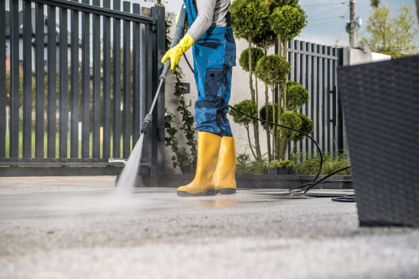 Best Graffiti Removal  in Prairie City, IA